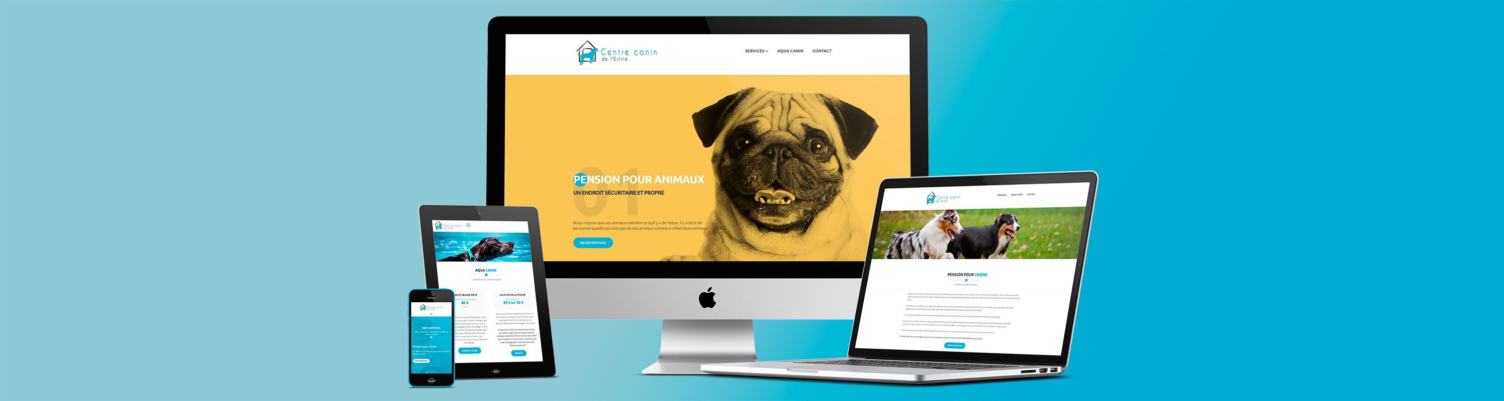 Centre canin de l'Estrie réalisation refonte site Web