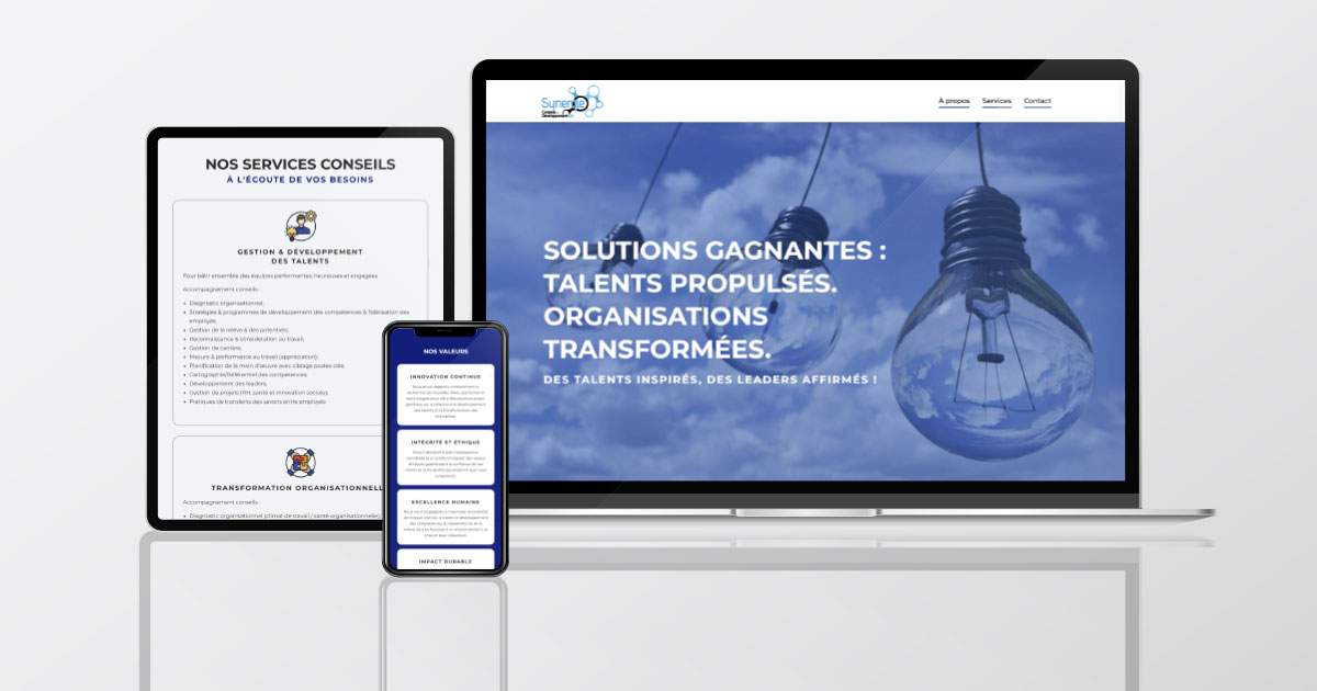 Synergie RH - WEBxpress